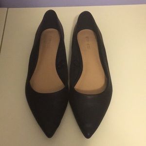 Express Pointed Toe Flats